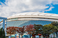 東京ドーム,ドーム,東京ドームシティ,dome,live,concert,baseball,BIG EGG,ビッグエッグ,野球,ベイスボール,野球場,巨人,ジャイアンツ,ライブ,ライヴ,コンサート,水道橋,春日,後楽園,文京区