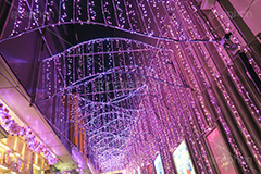 新宿テラスシティのイルミネーション,テラスシティ,サザンテラス,小田急ホテルセンチュリー,サザンタワー,小田急百貨店,新宿西口ハルク,小田急エース,新宿ミロード,新宿ミロード,モザイク通り,Flags,イルミネーション,イルミ,illumination,電飾,電球,発光ダイオード,LED,冬,都内,新宿,イベント,shinjuku,event,pink,ピンク,サクラ,新宿区,西新宿,行事,南口