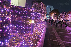 新宿テラスシティのイルミネーション,テラスシティ,サザンテラス,小田急ホテルセンチュリー,サザンタワー,小田急百貨店,新宿西口ハルク,小田急エース,新宿ミロード,新宿ミロード,モザイク通り,Flags,イルミネーション,イルミ,illumination,電飾,電球,発光ダイオード,LED,冬,都内,新宿,イベント,shinjuku,event,pink,ピンク,サクラ,新宿区,西新宿,行事,南口