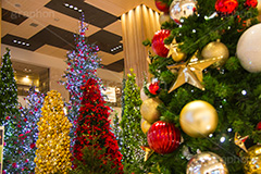 クリスマスツリー,ツリー,電飾,電球,発光ダイオード,クリスマス,飾り,オーナメント,イベント,ポインセチア,デパート,商業施設,行事,LED,CHRISTMAS,tree,ornament,event,department store