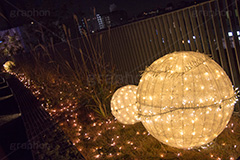 二子玉イルミネーション.二子玉,二子玉川,イルミネーション,イルミ,illumination,電飾,電球,発光ダイオード,LED,冬,イベント,event,ライズ,商業施設,行事
