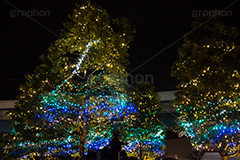 二子玉イルミネーション.二子玉,二子玉川,イルミネーション,イルミ,illumination,電飾,電球,発光ダイオード,LED,冬,イベント,event,行事
