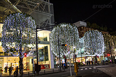 二子玉イルミネーション.二子玉,二子玉川,イルミネーション,イルミ,illumination,電飾,電球,発光ダイオード,LED,冬,イベント,event,white,ホワイト,シャンパンゴールド,高島屋,行事