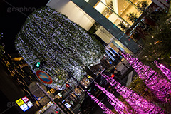 二子玉イルミネーション.二子玉,二子玉川,イルミネーション,イルミ,illumination,電飾,電球,発光ダイオード,LED,冬,イベント,event,高島屋,行事