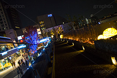二子玉イルミネーション.二子玉,二子玉川,イルミネーション,イルミ,illumination,電飾,電球,発光ダイオード,LED,冬,イベント,event,ライズ,商業施設,行事