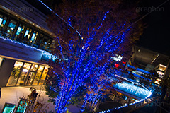 二子玉イルミネーション.二子玉,二子玉川,イルミネーション,イルミ,illumination,電飾,電球,発光ダイオード,LED,冬,イベント,event,ライズ,商業施設,行事