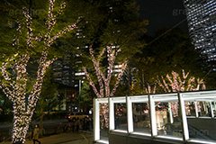 西新宿イルミネーション.illumination museum,西新宿,イルミネーション,イルミ,illumination,高層ビル,オフィス街,ビジネス街,電飾,電球,発光ダイオード,LED,冬,イベント,event,gold,新宿区,街ぐるみプロジェクト,新宿アイランド,新宿センタービル,新宿野村ビル,新宿パークタワー,新宿三井ビルディング,ゴールド,行事