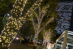 西新宿イルミネーション.illumination museum,西新宿,イルミネーション,イルミ,illumination,高層ビル,オフィス街,ビジネス街,電飾,電球,発光ダイオード,LED,冬,イベント,event,gold,新宿区,街ぐるみプロジェクト,新宿アイランド,新宿センタービル,新宿野村ビル,新宿パークタワー,新宿三井ビルディング,ゴールド,行事