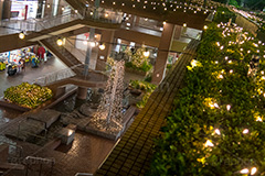 西新宿イルミネーション.illumination museum,西新宿,イルミネーション,イルミ,illumination,高層ビル,オフィス街,ビジネス街,電飾,電球,発光ダイオード,LED,冬,イベント,event,新宿区,街ぐるみプロジェクト,新宿アイランド,新宿センタービル,新宿野村ビル,新宿パークタワー,新宿三井ビルディング,行事