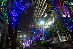西新宿イルミネーション.illumination museum,西新宿,イルミネーション,イルミ,illumination,高層ビル,オフィス街,ビジネス街,電飾,電球,発光ダイオード,LED,冬,イベント,event,新宿区,街ぐるみプロジェクト,新宿アイランド,新宿センタービル,新宿野村ビル,新宿パークタワー,新宿三井ビルディング,コミュニティ道路,行事