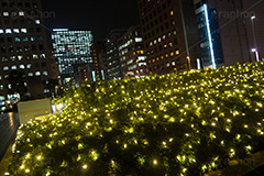 西新宿イルミネーション.illumination museum,西新宿,イルミネーション,イルミ,illumination,高層ビル,オフィス街,ビジネス街,電飾,電球,発光ダイオード,LED,冬,イベント,event,gold,新宿区,街ぐるみプロジェクト,新宿アイランド,新宿センタービル,新宿野村ビル,新宿パークタワー,新宿三井ビルディング,ゴールド,行事