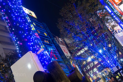 新宿東口のイルミネーション.illumination museum,東新宿,イルミネーション,イルミ,illumination,駅前,電飾,電球,発光ダイオード,LED,冬,イベント,event,新宿区,青,行事