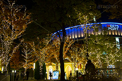 東京ドームシティのイルミネーション,東京ドーム,ドームシティ,東京ドームシティ,遊園地,施設,イルミネーション,イルミ,電飾,電球,発光ダイオード,冬,キラキラ,綺麗,きれい,キレイ,煌,輝,デート,スポット,都内,オーナメント,飾り,イベント,ビッグエッグ,野球,ベイスボール,野球場,巨人,ジャイアンツ,ライブ,ライヴ,コンサート,水道橋,春日,後楽園,文京区,行事,LED,illumination,dome,live,concert,baseball,BIG EGG