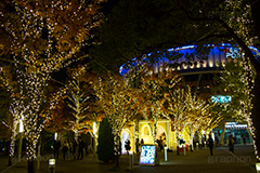 東京ドームシティのイルミネーション,東京ドーム,ドームシティ,東京ドームシティ,遊園地,施設,イルミネーション,イルミ,電飾,電球,発光ダイオード,冬,キラキラ,綺麗,きれい,キレイ,煌,輝,デート,スポット,都内,オーナメント,飾り,イベント,ビッグエッグ,野球,ベイスボール,野球場,巨人,ジャイアンツ,ライブ,ライヴ,コンサート,水道橋,春日,後楽園,文京区,行事,LED,illumination,dome,live,concert,baseball,BIG EGG