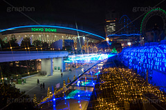 東京ドームシティのイルミネーション,東京ドーム,ドームシティ,東京ドームシティ,遊園地,アトラクション,施設,イルミネーション,イルミ,電飾,電球,発光ダイオード,冬,キラキラ,綺麗,きれい,キレイ,煌,輝,デート,スポット,都内,オーナメント,飾り,イベント,クロスフィルタ,ビッグエッグ,野球,ベイスボール,野球場,巨人,ジャイアンツ,ライブ,ライヴ,コンサート,水道橋,春日,後楽園,文京区,行事,LED,illumination,dome,live,concert,baseball,BIG EGG