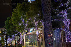 ミッドタウンのイルミネーション,ミッドタウン,六本木,港区,夜の街,施設,イルミネーション,イルミ,電飾,電球,発光ダイオード,冬,キラキラ,綺麗,きれい,キレイ,煌,輝,デート,スポット,都内,飾り,イベント,行事,LED,midtown,roppongi,illumination
