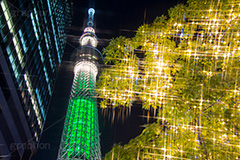 東京スカイツリーとイルミネーション,塔,ツリー,施設,イルミネーション,イルミ,電飾,電球,発光ダイオード,冬,キラキラ,綺麗,きれい,キレイ,煌,輝,デート,スポット,都内,飾り,イベント,スカイツリー,東京スカイツリー,墨田区,押上,フレア,行事,タワー,TOKYO SKYTREE,LED,illumination,tree,japan,tower,flare