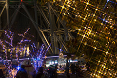東京スカイツリータウンのイルミネーション,ツリー,クリスマスツリー,施設,イルミネーション,イルミ,illumination,tree,電飾,電球,発光ダイオード,LED,冬,キラキラ,綺麗,きれい,キレイ,煌,輝,デート,スポット,都内,クリスマス,飾り,イベント,スカイツリー,東京スカイツリー,TOKYO SKYTREE,墨田区,押上,フレア,flare,商業施設,行事,solamachi