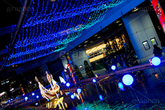 東京ドームシティのイルミネーション,東京ドーム,ドームシティ,東京ドームシティ,遊園地,施設,イルミネーション,イルミ,電飾,電球,発光ダイオード,冬,キラキラ,綺麗,きれい,キレイ,煌,輝,デート,スポット,都内,オーナメント,飾り,イベント,水道橋,春日,後楽園,文京区,運河,行事,LED,illumination,dome