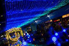 東京ドームシティのイルミネーション,東京ドーム,ドームシティ,東京ドームシティ,遊園地,施設,イルミネーション,イルミ,電飾,電球,発光ダイオード,冬,キラキラ,綺麗,きれい,キレイ,煌,輝,デート,スポット,都内,オーナメント,飾り,イベント,水道橋,春日,後楽園,文京区,運河,行事,LED,illumination,dome
