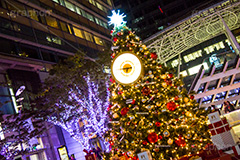 ミッドタウンのクリスマスツリー,クリスマスツリー,ミッドタウン,midtown,roppongi,六本木,港区,夜の街,施設,イルミネーション,イルミ,illumination,clock,電飾,電球,発光ダイオード,LED,tree,冬,キラキラ,綺麗,きれい,キレイ,煌,輝,デート,スポット,都内,クリスマス,飾り,イベント,時計,行事