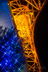 東京タワーとイルミネーション,イルミネーション,イルミ,illumination,電飾,電球,発光ダイオード,LED,冬,キラキラ,綺麗,きれい,キレイ,煌,輝,デート,スポット,都内,クリスマス,飾り,イベント,東京タワー,タワー,総合電波塔,電波,塔,日本電波塔,333m,とうきょうタワー,Tokyo Tower,港区,東京のシンボル,観光名所,japan,フレア,flare,行事