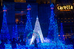 カレッタ汐留のイルミネーション,イルミネーション,イルミ,illumination,blue,show,電飾,電球,発光ダイオード,LED,tree,冬,キラキラ,綺麗,きれい,キレイ,煌,輝,デート,スポット,都内,クリスマス,飾り,イベント,ブルー,ショー,汐留,カレッタ汐留,新橋,港区,フレア,flare,行事