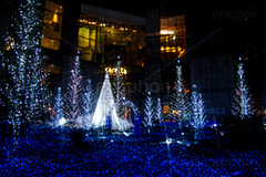カレッタ汐留のイルミネーション,イルミネーション,イルミ,illumination,show,電飾,電球,発光ダイオード,LED,tree,冬,キラキラ,綺麗,きれい,キレイ,煌,輝,デート,スポット,都内,クリスマス,飾り,イベント,ショー,汐留,カレッタ汐留,新橋,港区,行事