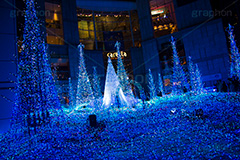 カレッタ汐留のイルミネーション,イルミネーション,イルミ,illumination,blue,show,電飾,電球,発光ダイオード,LED,tree,冬,キラキラ,綺麗,きれい,キレイ,煌,輝,デート,スポット,都内,クリスマス,飾り,イベント,ブルー,ショー,汐留,カレッタ汐留,新橋,港区,行事