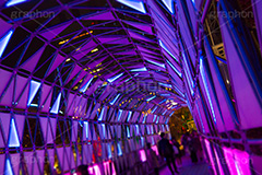 東京ドームシティのイルミネーション,東京ドーム,ドームシティ,東京ドームシティ,遊園地,イルミネーション,イルミ,電飾,電球,発光ダイオード,冬,キラキラ,綺麗,きれい,キレイ,煌,輝,デート,スポット,都内,オーナメント,飾り,イベント,水道橋,春日,後楽園,文京区,アーチ,トンネル,行事,LED,illumination