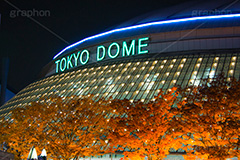 東京ドームのライトアップ,ライトアップ,東京ドーム,ドームシティ,東京ドームシティ,遊園地,スポット,都内,ビッグエッグ,野球,ベイスボール,野球場,巨人,ジャイアンツ,ライブ,ライヴ,コンサート,水道橋,春日,後楽園,文京区,dome,live,concert,baseball,BIG EGG