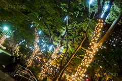 西新宿イルミネーション.illumination museum,西新宿,イルミネーション,イルミ,illumination,高層ビル,オフィス街,ビジネス街,電飾,電球,発光ダイオード,LED,冬,イベント,event,gold,新宿区,街ぐるみプロジェクト,新宿アイランド,新宿センタービル,新宿野村ビル,新宿パークタワー,新宿三井ビルディング,ゴールド,行事