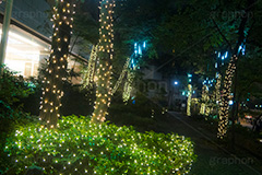 西新宿イルミネーション.illumination museum,西新宿,イルミネーション,イルミ,illumination,高層ビル,オフィス街,ビジネス街,電飾,電球,発光ダイオード,LED,冬,イベント,event,gold,新宿区,街ぐるみプロジェクト,新宿アイランド,新宿センタービル,新宿野村ビル,新宿パークタワー,新宿三井ビルディング,ゴールド,行事