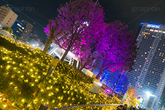 東京ドームシティのイルミネーション,東京ドーム,ドームシティ,東京ドームシティ,遊園地,アトラクション,施設,イルミネーション,イルミ,電飾,電球,発光ダイオード,冬,キラキラ,綺麗,きれい,キレイ,煌,輝,デート,スポット,都内,オーナメント,飾り,イベント,ビッグエッグ,野球,ベイスボール,野球場,巨人,ジャイアンツ,ライブ,ライヴ,コンサート,水道橋,春日,後楽園,文京区,行事,illumination,dome,live,concert,baseball,BIG EGG,LED