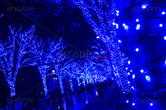 青の洞窟 SHIBUYA,青の洞窟,渋谷,渋谷公園通り,ケヤキ並木,渋谷区,代々木公園,青,ブルー,イルミネーション,イルミ,電飾,電球,発光ダイオード,冬,キラキラ,綺麗,きれい,キレイ,煌,輝,デート,スポット,都内,イベント,行事,SHIBUYA,illumination,blue,LED