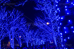 青の洞窟 SHIBUYA,青の洞窟,渋谷,渋谷公園通り,ケヤキ並木,渋谷区,代々木公園,青,ブルー,イルミネーション,イルミ,電飾,電球,発光ダイオード,冬,キラキラ,綺麗,きれい,キレイ,煌,輝,デート,スポット,都内,イベント,行事,SHIBUYA,illumination,blue,LED