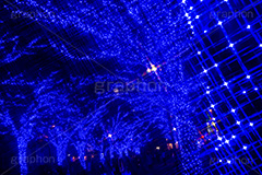 青の洞窟 SHIBUYA,青の洞窟,渋谷,渋谷公園通り,ケヤキ並木,渋谷区,代々木公園,青,ブルー,イルミネーション,イルミ,電飾,電球,発光ダイオード,冬,キラキラ,綺麗,きれい,キレイ,煌,輝,デート,スポット,都内,イベント,クロスフィルタ,フレア,行事,flare,SHIBUYA,illumination,blue,LED
