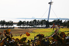 葛西,かさい,葛西臨海公園,公園,都立公園,江戸川区,東京湾,沖合,臨海