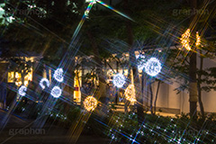 東京スカイツリータウンのイルミネーション,ツリー,施設,イルミネーション,イルミ,illumination,tree,電飾,電球,発光ダイオード,LED,冬,キラキラ,綺麗,きれい,キレイ,煌,輝,デート,スポット,都内,クリスマス,飾り,イベント,スカイツリー,東京スカイツリー,TOKYO SKYTREE,墨田区,押上,クロスフィルタ,フレア,flare,商業施設,行事,solamachi