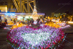 東京スカイツリータウンのイルミネーション,ツリー,施設,イルミネーション,イルミ,illumination,tree,電飾,電球,発光ダイオード,LED,冬,キラキラ,綺麗,きれい,キレイ,煌,輝,デート,スポット,都内,クリスマス,飾り,イベント,スカイツリー,東京スカイツリー,TOKYO SKYTREE,墨田区,押上,クリスマスツリー,ツリー,Christmas,クロスフィルタ,フレア,flare,商業施設,行事,solamachi