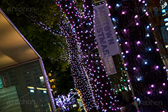 ミッドタウンのイルミネーション,ミッドタウン,六本木,港区,夜の街,施設,イルミネーション,イルミ,電飾,電球,発光ダイオード,冬,キラキラ,綺麗,きれい,キレイ,煌,輝,デート,スポット,都内,飾り,イベント,行事,LED,midtown,roppongi,illumination