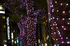 ミッドタウンのイルミネーション,ミッドタウン,六本木,港区,夜の街,施設,イルミネーション,イルミ,電飾,電球,発光ダイオード,冬,キラキラ,綺麗,きれい,キレイ,煌,輝,デート,スポット,都内,飾り,イベント,行事,LED,midtown,roppongi,illumination