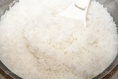 炊き立てのごはん,炊き,米,白米,ご飯,お米,ごはん,和食,日本食,日本料理,湯気,白飯,rice,japan,炊飯,ジャー,炊飯器,しゃもじ,湯気
