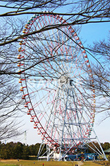 葛西,かさい,葛西臨海公園,大観覧車,観覧車,公園,回転輪,かんらんしゃ,だいかんらんしゃ,都立公園,江戸川区,東京湾,沖合,遊具,最大級
