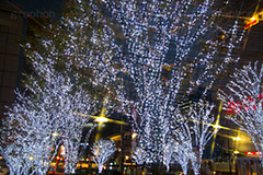 大井町のイルミネーション,大井町,おおいまち,イルミネーション,イルミ,illumination,電飾,電球,発光ダイオード,LED,冬,キラキラ,綺麗,きれい,キレイ,煌,輝,品川区,駅前,クロスフィルタ