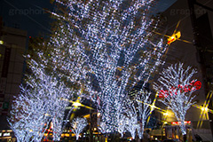 大井町のイルミネーション,大井町,おおいまち,イルミネーション,イルミ,illumination,電飾,電球,発光ダイオード,LED,冬,キラキラ,綺麗,きれい,キレイ,煌,輝,品川区,駅前,クロスフィルタ