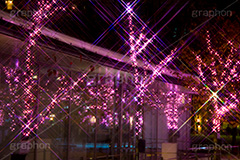みんなのイルミネーション,目黒川,品川,イルミネーション,イルミ,illumination,pink,桜,さくら,ピンク,電飾,電球,発光ダイオード,LED,冬,キラキラ,綺麗,きれい,キレイ,煌,輝,品川区,駅前,大崎,五反田,クロスフィルタ
