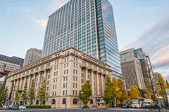 馬場先門の交差点,馬場先門,明治生命館,交差点,信号,並木,銀杏,いちょう,イチョウ,紅葉,重要文化財,千代田区,丸の内,ビル,building