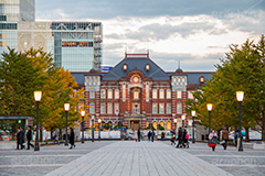 紅葉と東京駅丸の内駅舎,紅葉,イチョウ,いちょう,銀杏,並木,秋,東京,東京駅,内駅舎,赤レンガ,丸の内,重要文化財,豪壮華麗,洋式建築,中央駅,国指定重要文化財,Tokyo Station City,ライトアップ,レトロ,レンガ造り,復元,tokyo,旅行,旅,travel