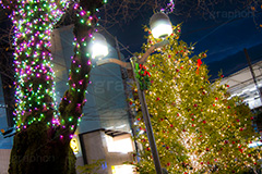 自由が丘イルミネーション,イルミネーション,イルミ,illumination,電飾,電球,発光ダイオード,LED,冬,キラキラ,綺麗,きれい,キレイ,煌,輝,デート,スポット,都内,クリスマス,自由が丘,イベント,目黒区,ツリー,クリスマスツリー,行事,九品仏